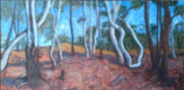 A traumatised landscape